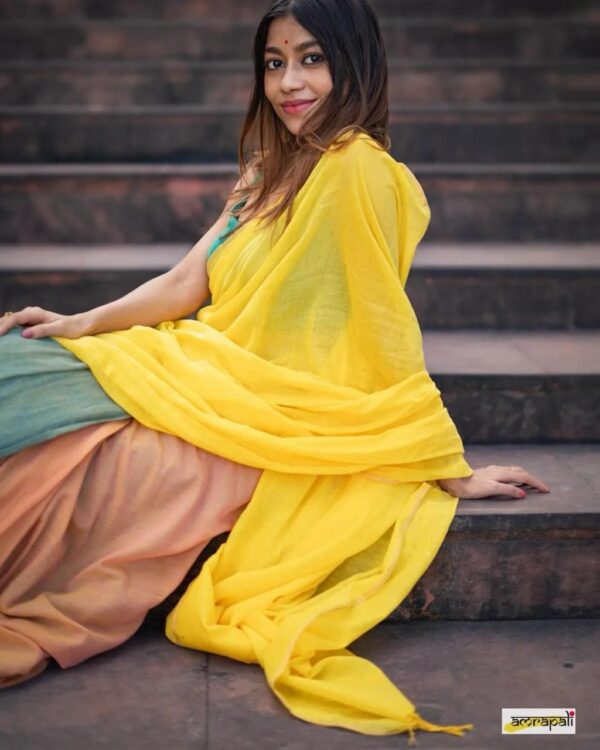 Khadi  pure Cotton  2D Saree - Image 5