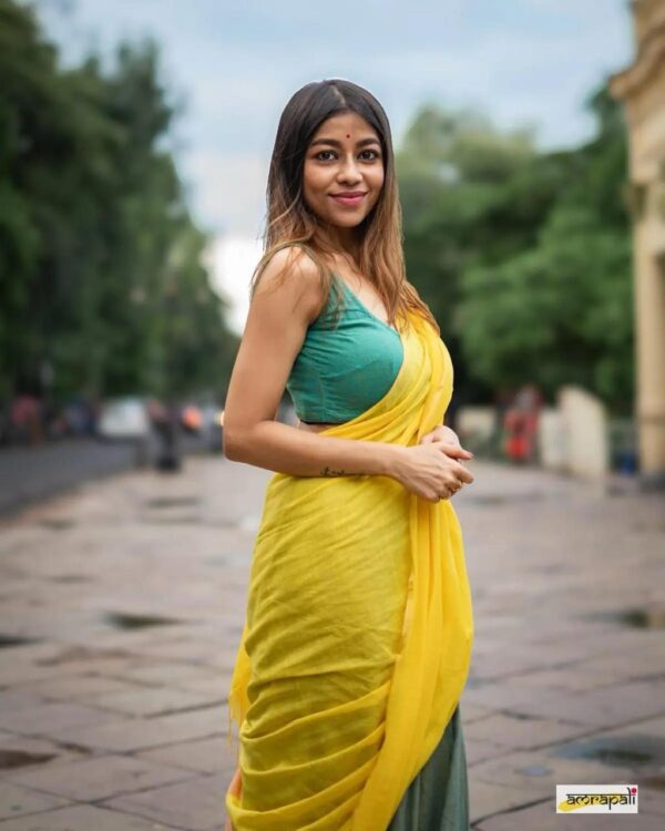 Khadi  pure Cotton  2D Saree - Image 6