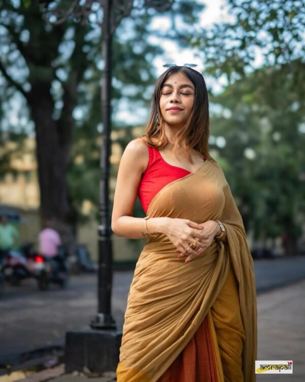 Khadi  pure Cotton  2D Saree - Image 10