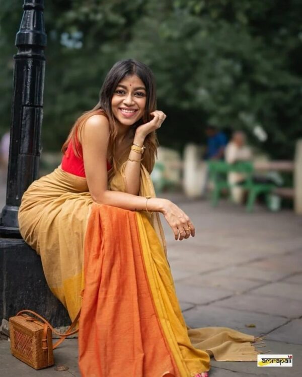 Khadi  pure Cotton  2D Saree - Image 11