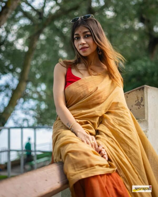 Khadi  pure Cotton  2D Saree - Image 12
