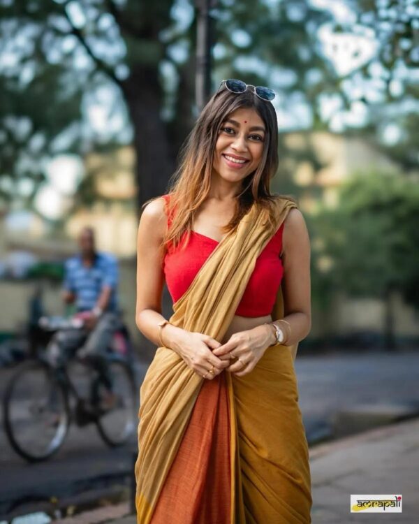 Khadi  pure Cotton  2D Saree - Image 13