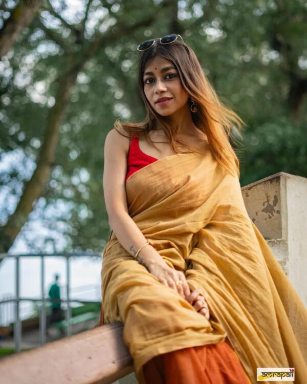 Khadi  pure Cotton  2D Saree - Image 16