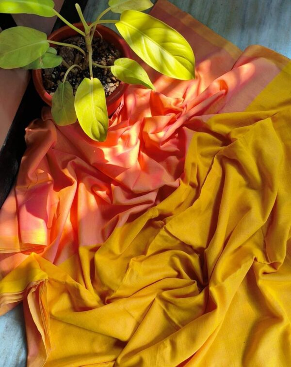 Khadi  pure Cotton  2D Saree - Image 34