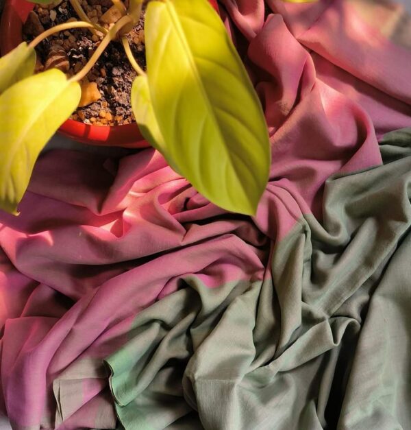 Khadi  pure Cotton  2D Saree - Image 35