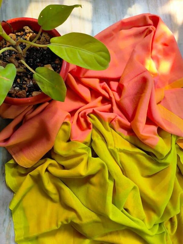 Khadi  pure Cotton  2D Saree - Image 41